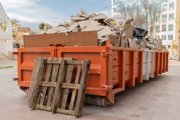 Best Yard Waste Removal  in Plainview, MN